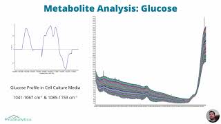 Mammalian Cell Culture  Raman as a Means of Monitoring amp Controlling Upstream Bioprocesses [upl. by Notyrb799]