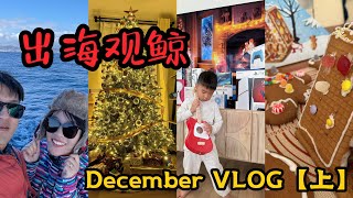 DailyVLOG44 圣诞季出海观鲸啦，礼物惊喜开箱，还有姜饼小屋 [upl. by Tedric]