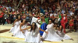 Cova da Onça  Carnaval de Uruguaiana 2015 [upl. by Zuliram]