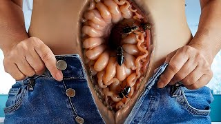 ASMR Whats on the belly and navel Removing All the Creepy Crawlies  2D Animation [upl. by Ullund]