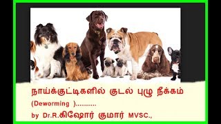 Deworming schedule for Puppies and Dogs  நாய்களில் குடற்புழு நீக்ககம் [upl. by Anyehs27]