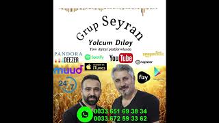 Grup Seyran  Yolcum Dıloy Official Audio [upl. by Etnor11]