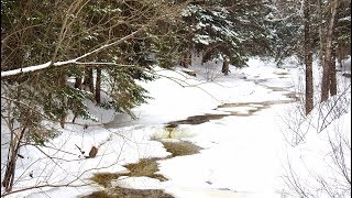 Canada  La campagne en hiver ❄️ [upl. by Alleahcim113]