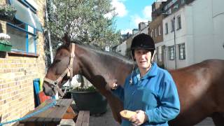 PONY visit Ross Nye Stables in Hyde Park London [upl. by Notyrb]