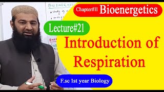 Biology Ch11Lecture21 Introduction to Respiration FSc 1st Year [upl. by Remus362]