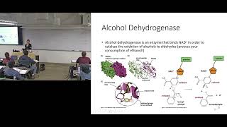 Biological redox contd NAD NADH amp Alcohol Dehydrogenase Examples [upl. by Elrae]