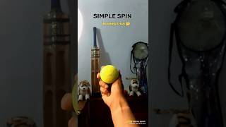 great simple spin bowling action 🔥  spin bowling tips ✅  legspin cricket youtubeshorts viral [upl. by Eal302]