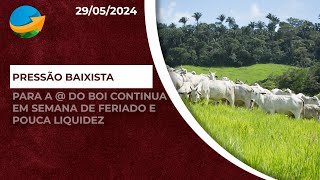 Pressão baixista para a arroba do boi gordo segue em semana de feriado e pouca liquidez [upl. by Akim]