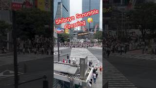 Shibuya Scramble Crossing Tokyo Japan shibuya crossing as viewed from Starbucks [upl. by Petronia]