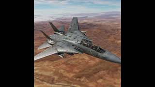 F14 Tomcat [upl. by Yrtnahc]