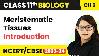 Meristematic Tissues  Introduction  Anatomy of Flowering Plants I Class 11 Biology [upl. by Latoye]