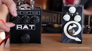 ProCo Rat 2 vs Jam Rattler Comparison No Talk [upl. by Khano]