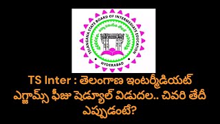 TG Inter Fee Schedule  తెలంగాణ ఇంటర్ విద్యార్థులకు అలర్ట్ ఫీజు చెల్లింపుల షెడ్యూల్ విడుదల [upl. by Litt]