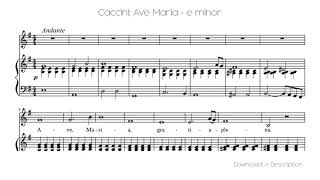 🎶 Caccini Ave Maria  E Minor 🎸🎸 [upl. by Anette]