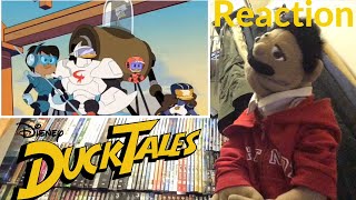 Ducktales Season 3 Episode 19 Beaks in The Shell Reaction Puppet Reaction [upl. by Aihseym684]