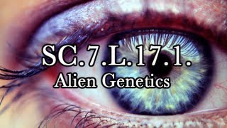 SC7L161 Alien Genetics [upl. by Htebazileyram]