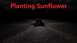 Planting Sunflower l Greenwich Valley Multifruit l Ep33 [upl. by Torin]