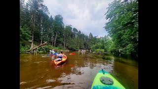 Kayaking the upper Manistee River [upl. by Kolnick783]