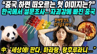 중국반응│중국 하면 떠오르는 첫 이미지는│한국 설문조사 결과에 참담한 중국│당연히 경제발전 스마트결제 이런거 아니야 하지만 푸바오 마라탕 탕후루│중국어로路 [upl. by Aerdnaek]