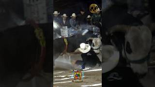 Señor de las Guerras VS Lino de Villa Juárez 🔥🐂🤠 [upl. by Hsiekal]