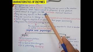 characteristics of enzymespepsinpepsinogen [upl. by Valer]