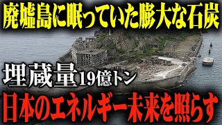 驚愕！幻の島に眠る19億トン！巨大石炭鉱脈、ついに日の目を見る [upl. by Annawak804]