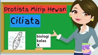 Ciliata Kelas 10  Materi Biologi Protista Mirip Hewan [upl. by Barret837]