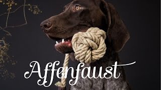 AffenfaustSpielzeug für Hunde basteln [upl. by Esiled]