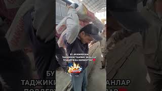 НЕЧИ КИЛО КУТАРДИ🇺🇿♥️🇹🇯 reels ibrat instagram ibratli rek shorts respect [upl. by Aicena684]