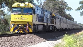 Northern Adelaide Train Compilation Part 1 [upl. by Hgiellek]