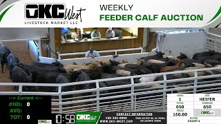 11292023  OKC West Feeder Calf Auction [upl. by Noella]