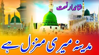 New Hajj Kalam 2024 Hajji Par New nazam  Hajj special nazam  Madina Safar nazam [upl. by Gottwald]