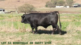 Lot 53 U704 [upl. by Neyr]