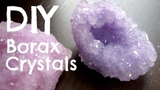 How to Make Borax Crystals [upl. by Aihseyn]