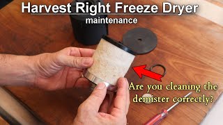 How to properly clean the demister on your Harvest Right Vacuum Pump [upl. by Skurnik]