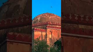 Hauz khas fort 🫶 minivlog capture nature shorts [upl. by Corvese]