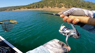 CA Bass Federation State Championship New Melones Lake [upl. by Bullard]