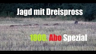 Jagd mit Dreispross  1000 Abo Spezial [upl. by Nelli9]