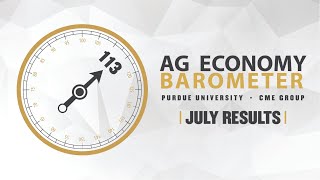 Ag Economy Barometer Breakdown July 2024 Survey [upl. by Cirederf]