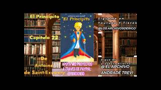 El principito  Audiolibro  Capitulo 22 [upl. by Llekcor940]