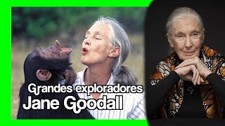 🐒 Descubre la vida increíble de Jane Goodall entre chimpancés [upl. by Ambrosio765]