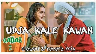 Udja Kale Kawan  Gadar2  Slowed and Reverb Songs  Ghar Aaja Pardesi  Shri Nath Music [upl. by Aldarcy379]