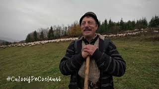 🎙️”Îi mai bine să fi slugă la tine decât la altu” ciobanul GHEORGHE FIȚIGĂU din SĂCEL jud MM [upl. by Deborath31]