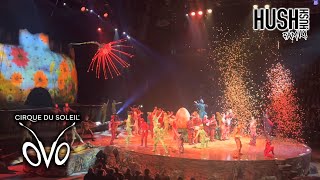 Cirque Du Soleil oVo Circus Highlights 2024 [upl. by Kcirrej]