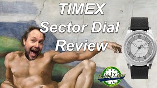 Affordable Sector Dial Watch  TIMEX Waterbury Traditional DayDate Review [upl. by Brebner]