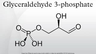 Glyceraldehyde 3phosphate [upl. by Nash]