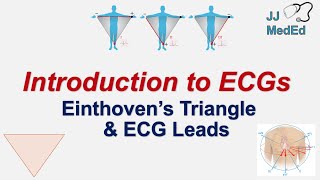 Introduction to ECG  The Basics  Einthoven’s Triangle Limb Augmented and Precordial Leads [upl. by Elset]