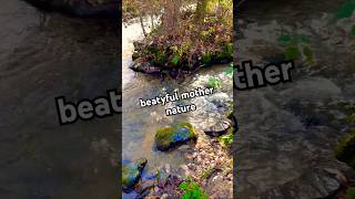 Searching rare Stones Relaxing Nature River Water🌊 walk with my Dog nature asmr water river [upl. by Morris189]