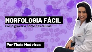 Como Identificar as Células Hematológicas de Forma Fácil  Biomedicina por Thaís Medeiros [upl. by Artcele]