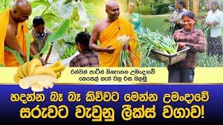 මෙන්න බලාපල්ලා උමංදාවේ හදන්න බෑ කියපු ලීක්ස් [upl. by Abra]